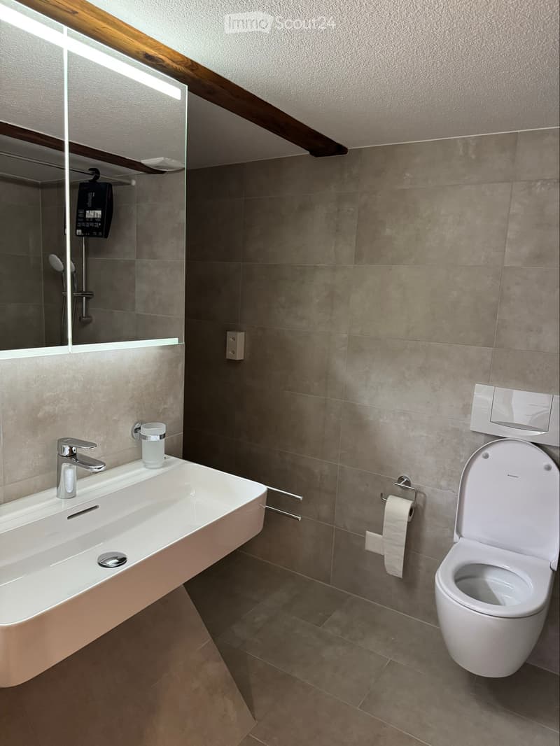 Frisch renoviertes 4.5-Zimmer-Doppeleinfamilienhaus (4)