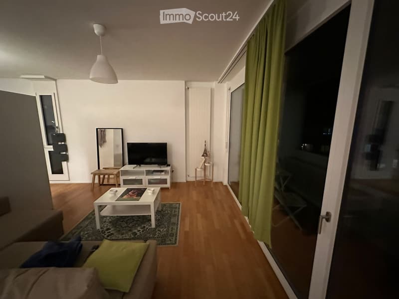 Stanza arredata a Lugano, subentro come terzo coinquilino (4)