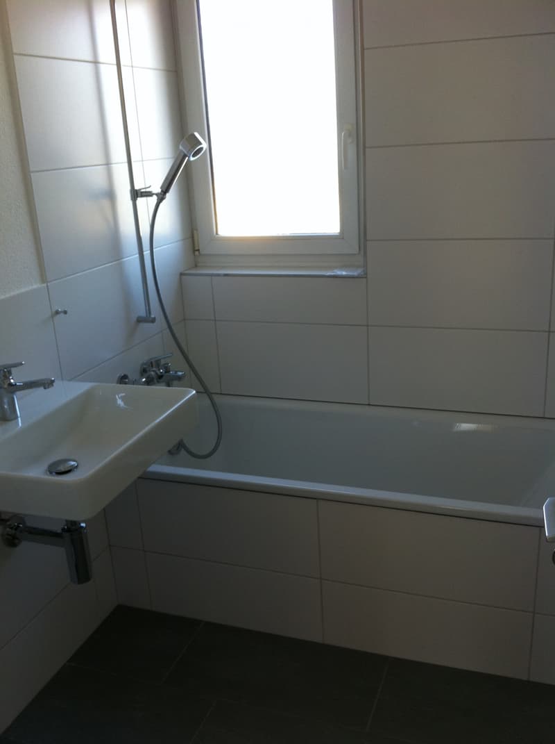3 Zimmer Wohnung in 8864 Reichenburg (5)