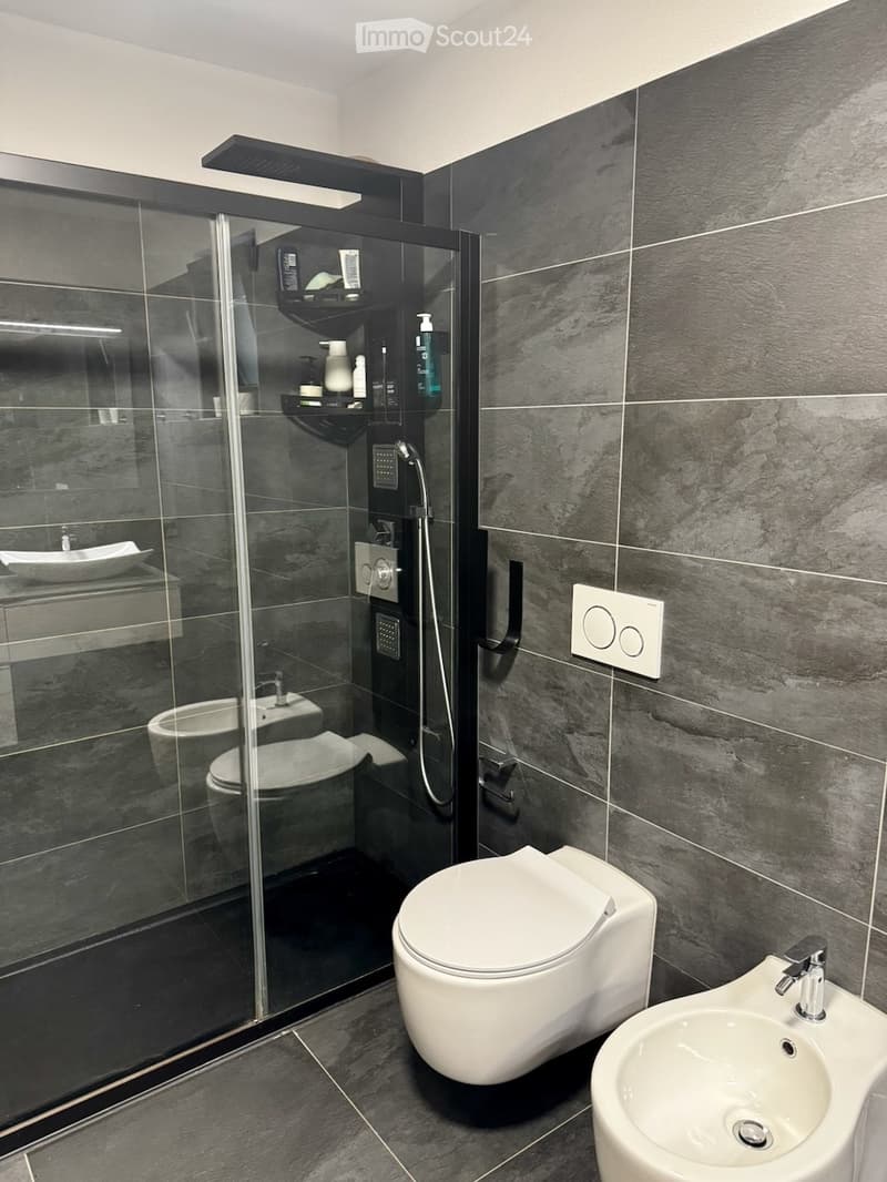 Subentrante per 2.5 a Gnosca (Bellinzona) (2)