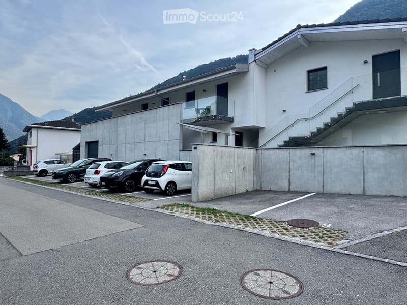 Subentrante per 2.5 a Gnosca (Bellinzona) (5)