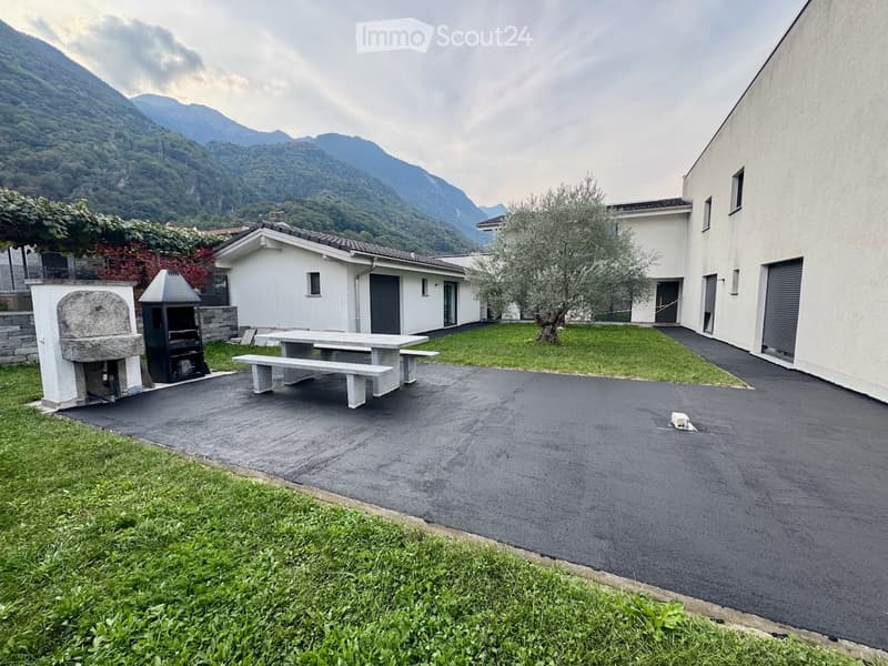 Subentrante per 2.5 a Gnosca (Bellinzona) (4)