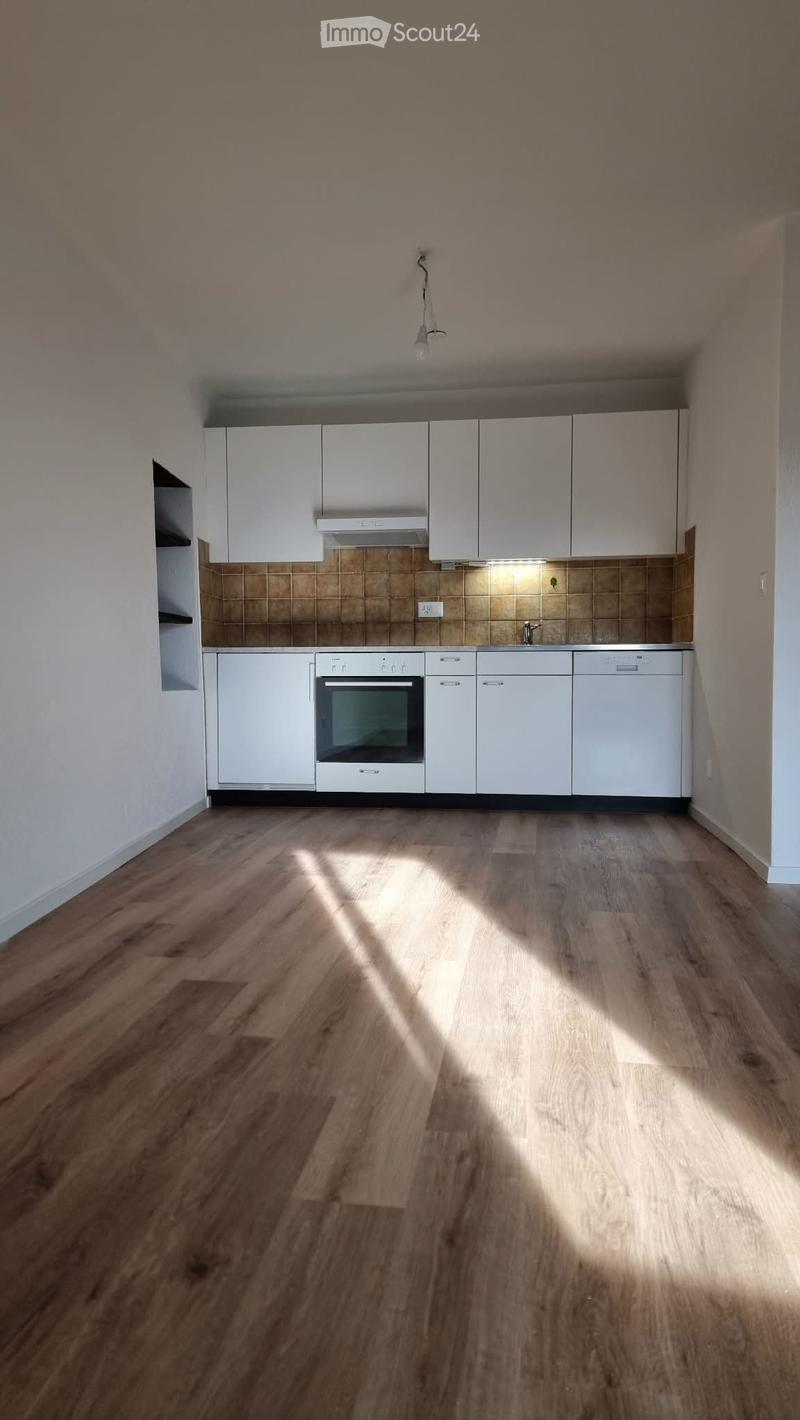 Affittasi accogliente appartamento a Cadro (2)