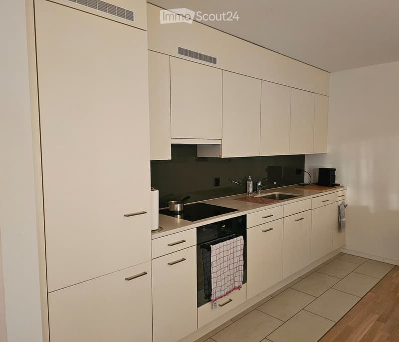 Moderen 2,5 Zimmerwohnung ab 1. Dezember zu vermieten (2)