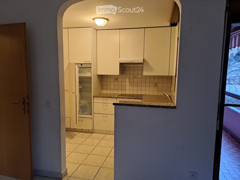 Affitasi appartamento 4.5 locali (2)