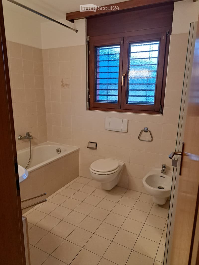 Affitasi appartamento 4.5 locali (5)