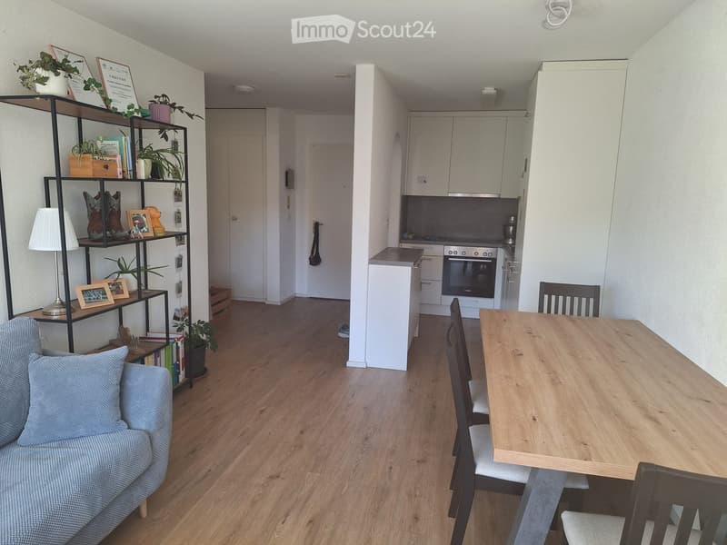 2.5 Zimmer-Wohnung zu vermieten (1)