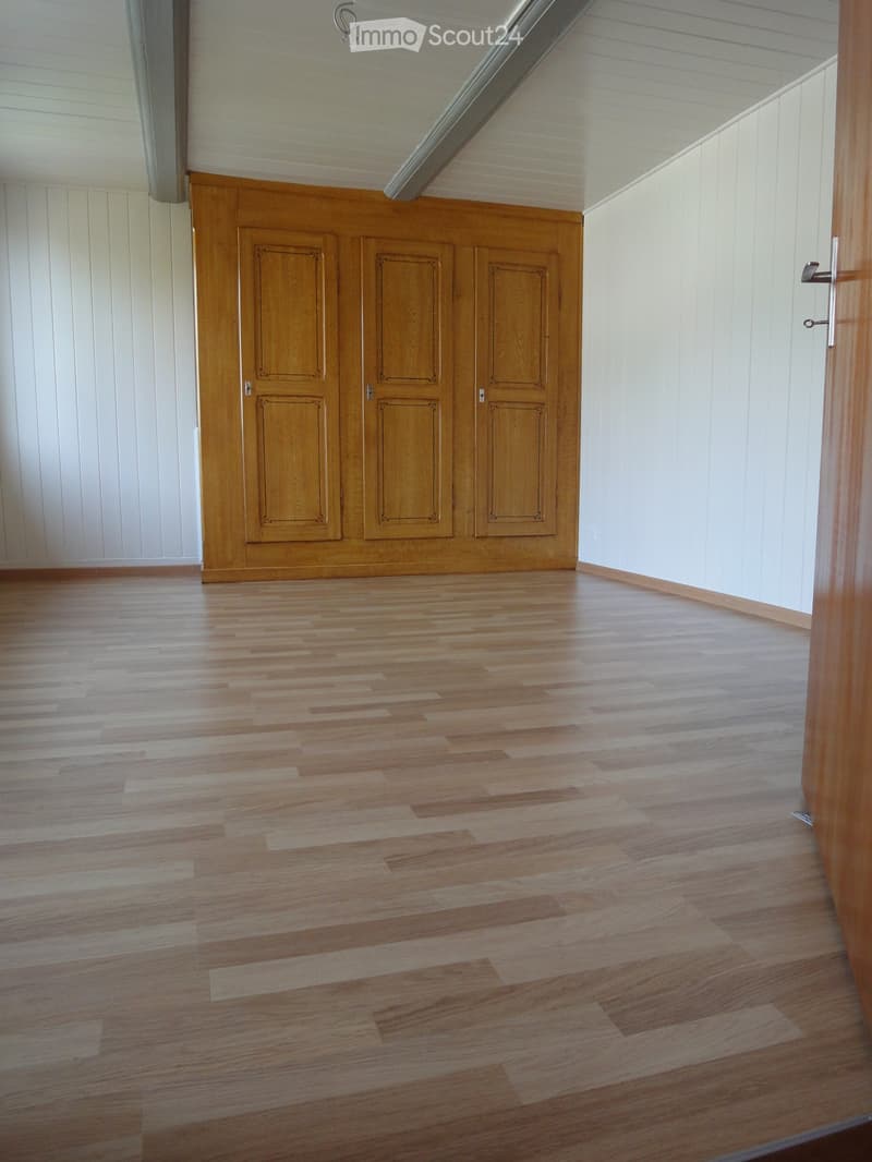 3.5 zimmer Altbauwohnung (2)