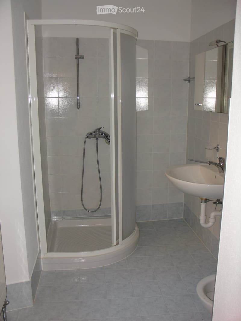 Appartamento 2 locali (5)