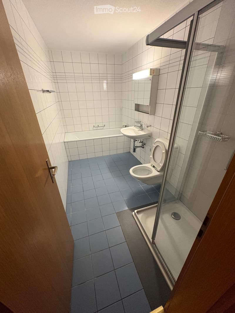 Zu vermieten 4,5 Zimmer Wohnung (5)