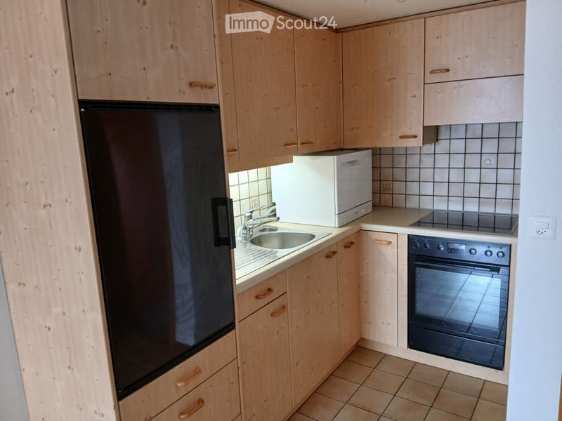 3.5 Zimmer Wohnung (5)