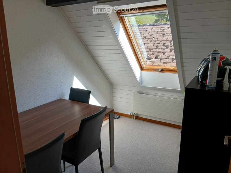 3.5 Zimmer Wohnung (4)