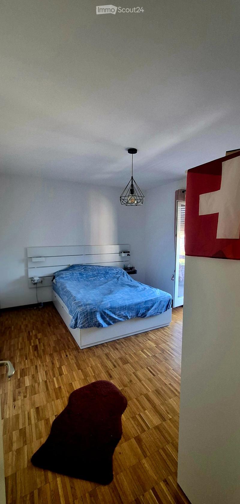 Subentro appartamento arredato 2.5 locali, Massagno (2)