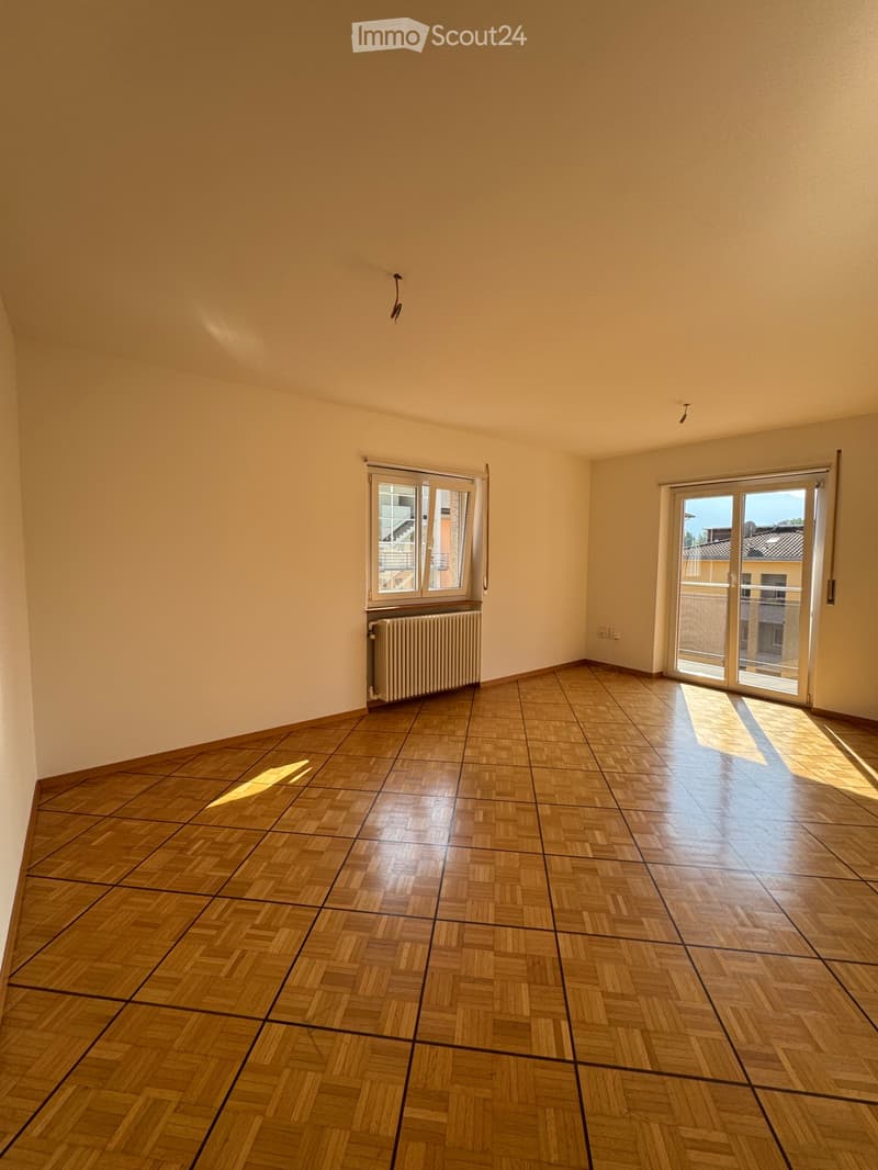 BELLINZONA APPARTAMENTO 3½ LOCALI IN AFFITTO (3)