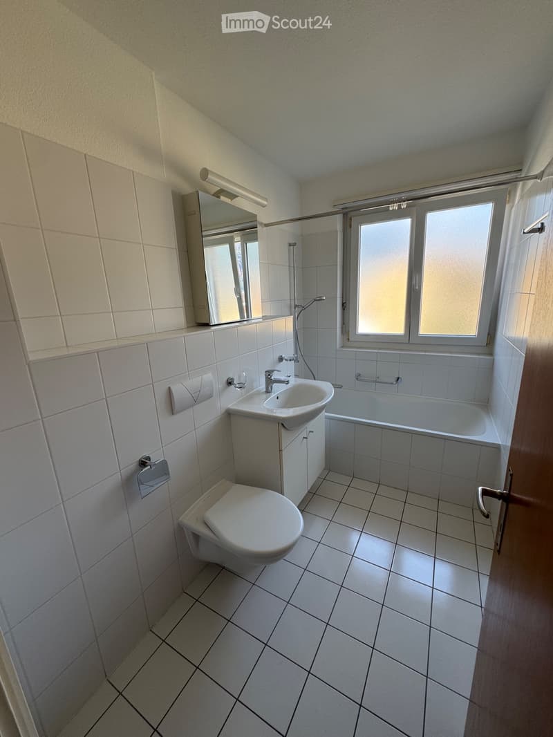 BELLINZONA APPARTAMENTO 3½ LOCALI IN AFFITTO (5)
