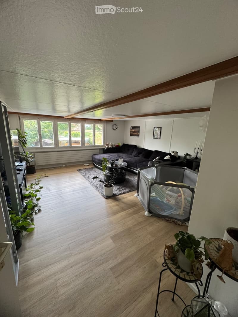 Renovierte 3.5 Zimmer Wohnung (3)
