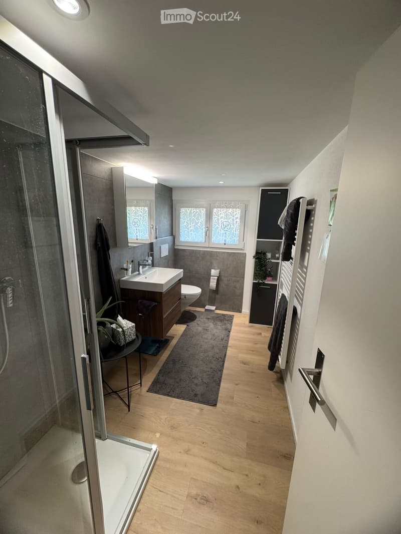 Renovierte 3.5 Zimmer Wohnung (2)