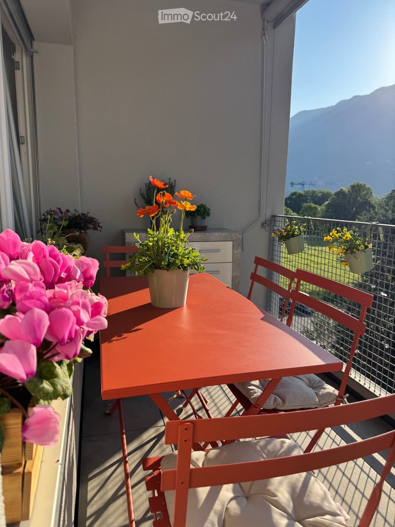 Bellissimo 2.5 locali con terrazza| Subentro dal 01.01.2027 (5)
