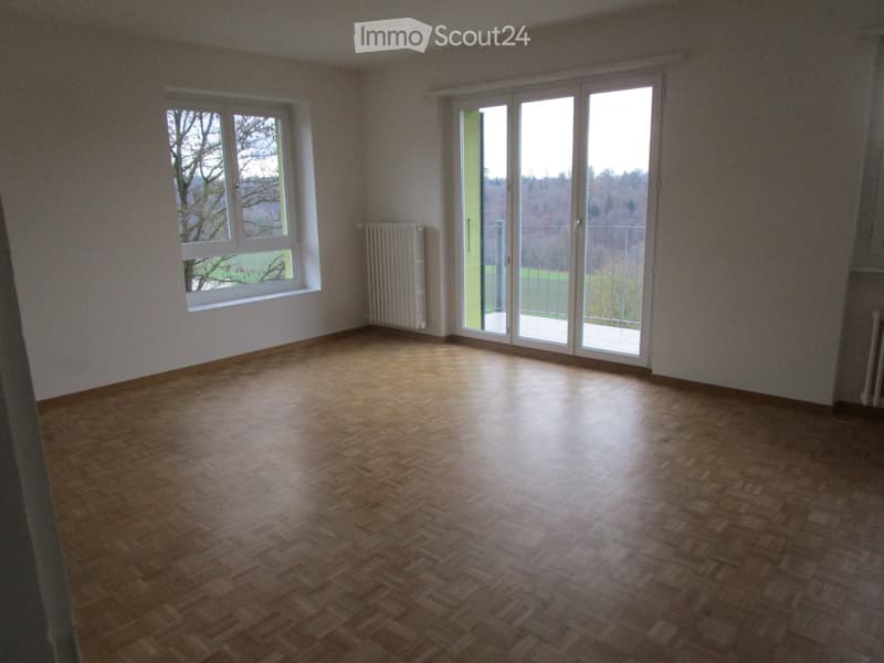 sonnige 3 Zimmer Wohnng zu vermieten (1)