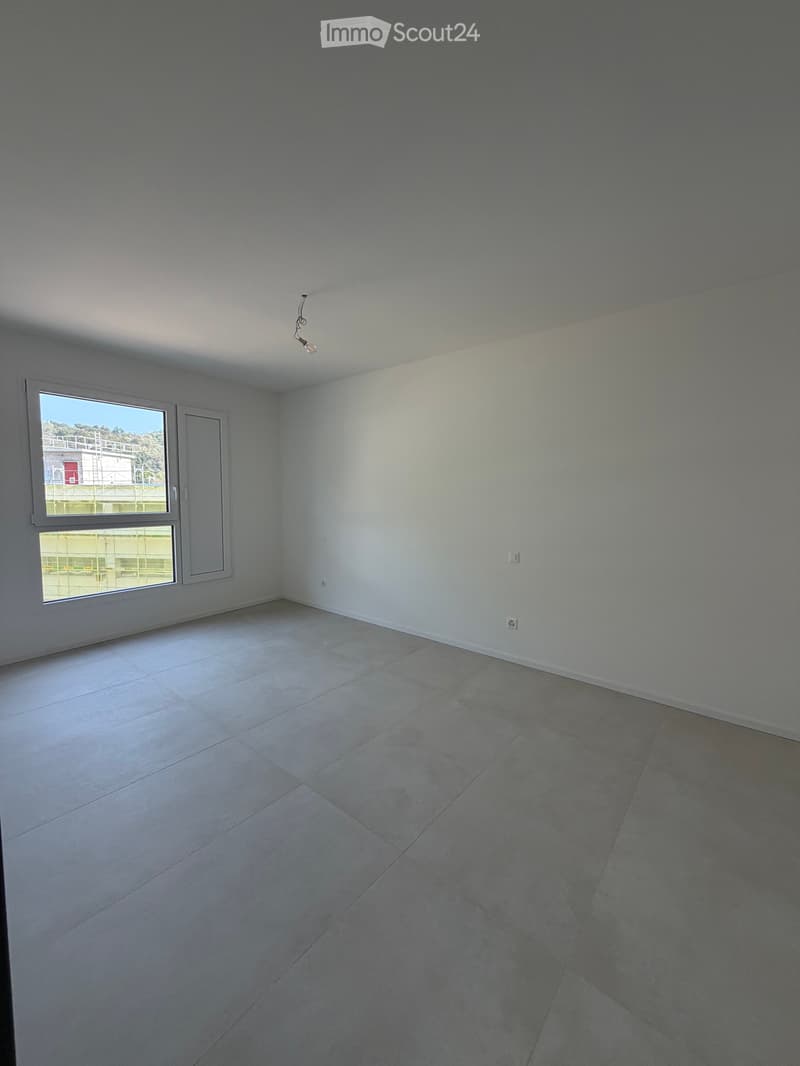 AFFITTASI APPARTAMENTO - LAMONE (3)