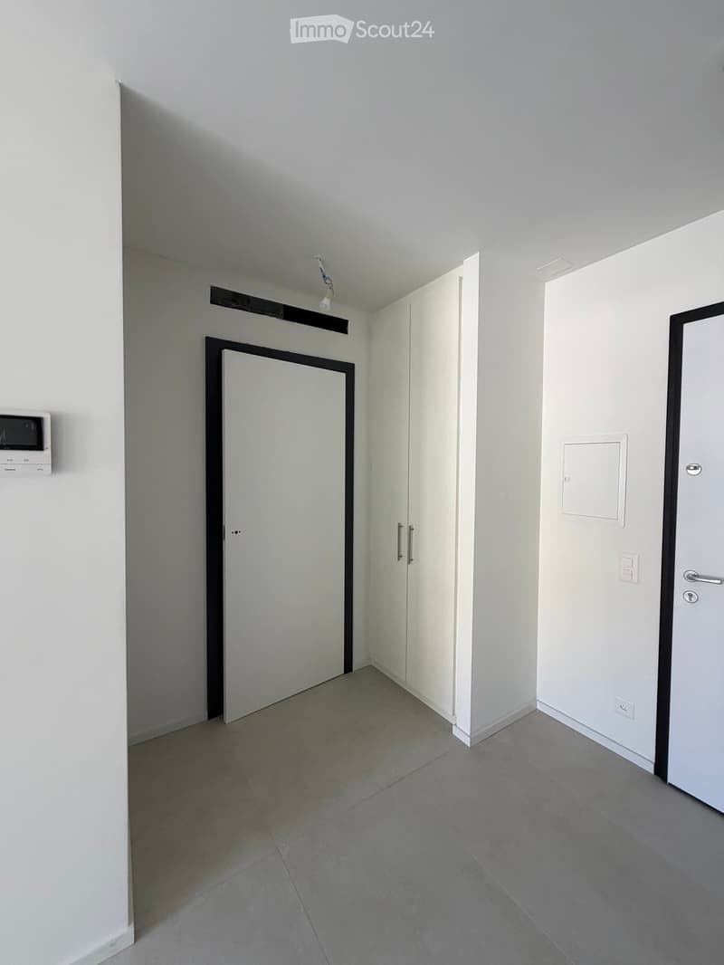 AFFITTASI APPARTAMENTO - LAMONE (4)