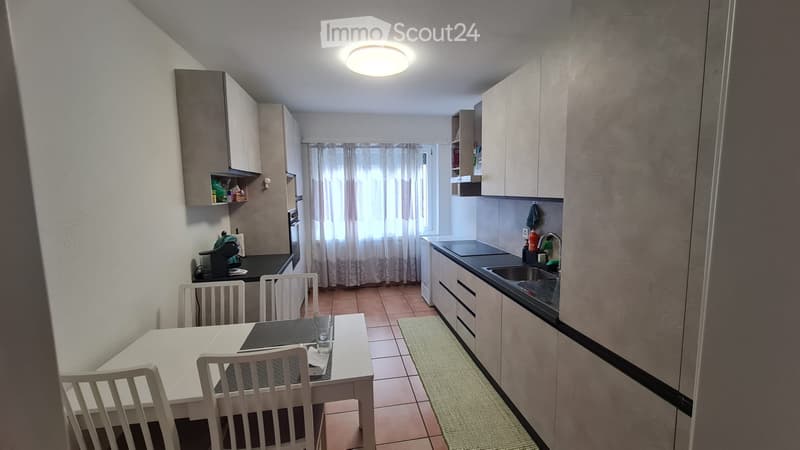 Arbedo 3½ locali al 4 - lavatrice/asciugatrice privati (1)