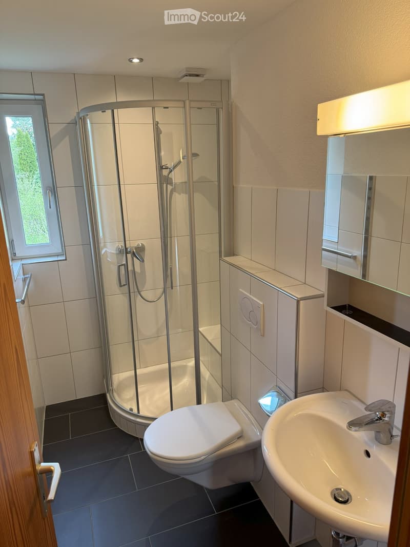 5.5-Zimmer-Dachwohnung in attraktiver Gemeinde Zuzwil SG (3)