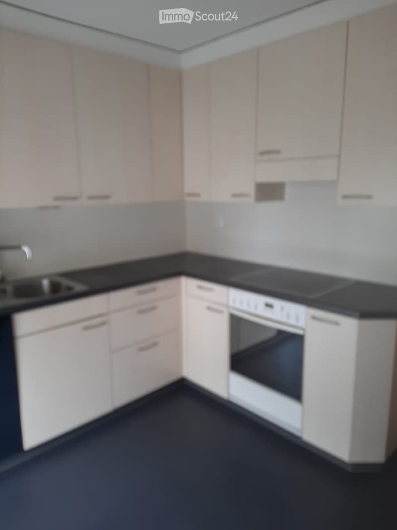 4,5 Zimmer Wohnung zu vermieten (4)