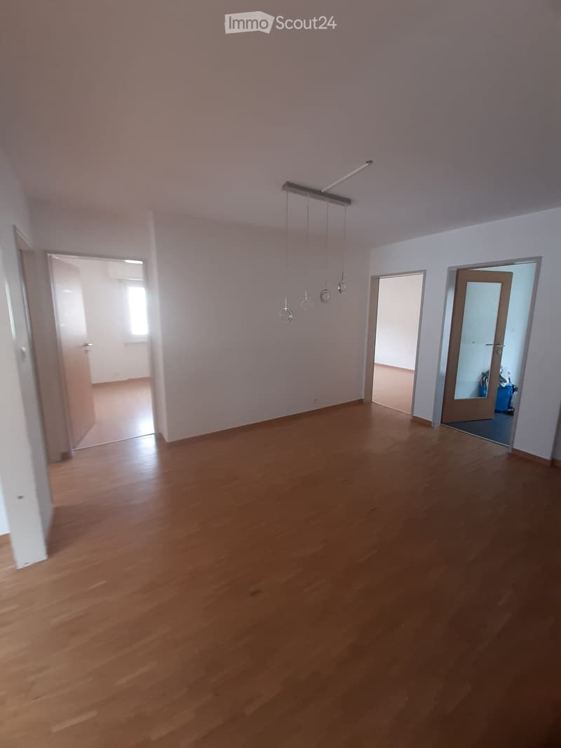 4,5 Zimmer Wohnung zu vermieten (1)