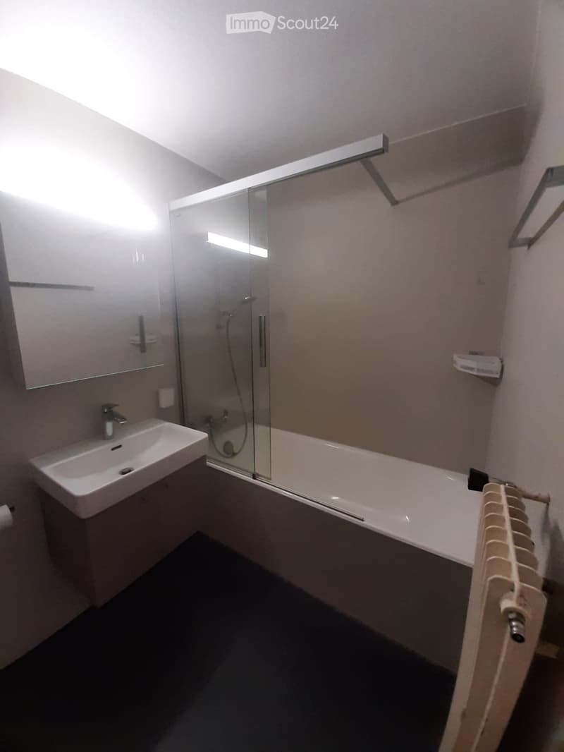 4,5 Zimmer Wohnung zu vermieten (5)