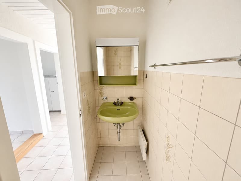 Frisch renovierte 3.0-Zimmer-Wohnung mit Dachterrasse (5)