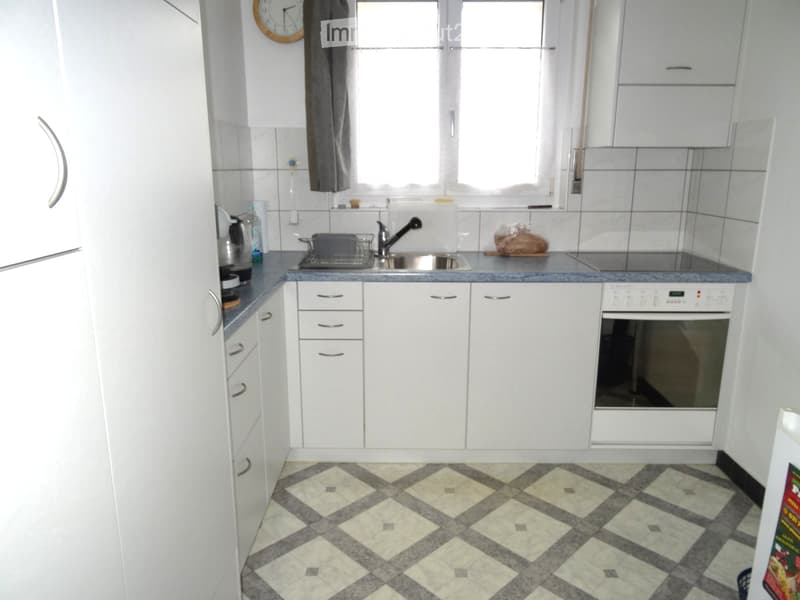 Grosse, helle 4.5 Zimmer-Parterre-Wohnung (4)