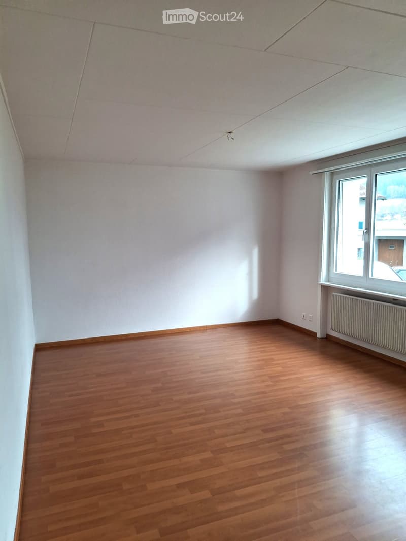 Grosse, helle 4.5 Zimmer-Parterre-Wohnung (1)