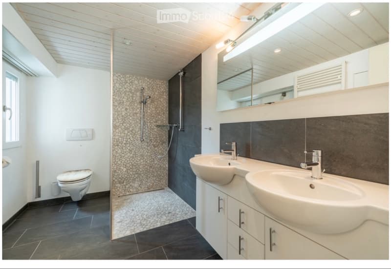 4.5 Zimmer Whg ab Mitte November zu vermieten (3)