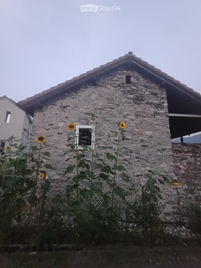 Rustico 3,5 locali / P coperto / Giardino con pergola (5)