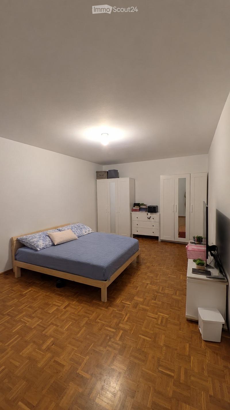 Lumino, ampio 3/ libero da dicembre-gennaio (3)