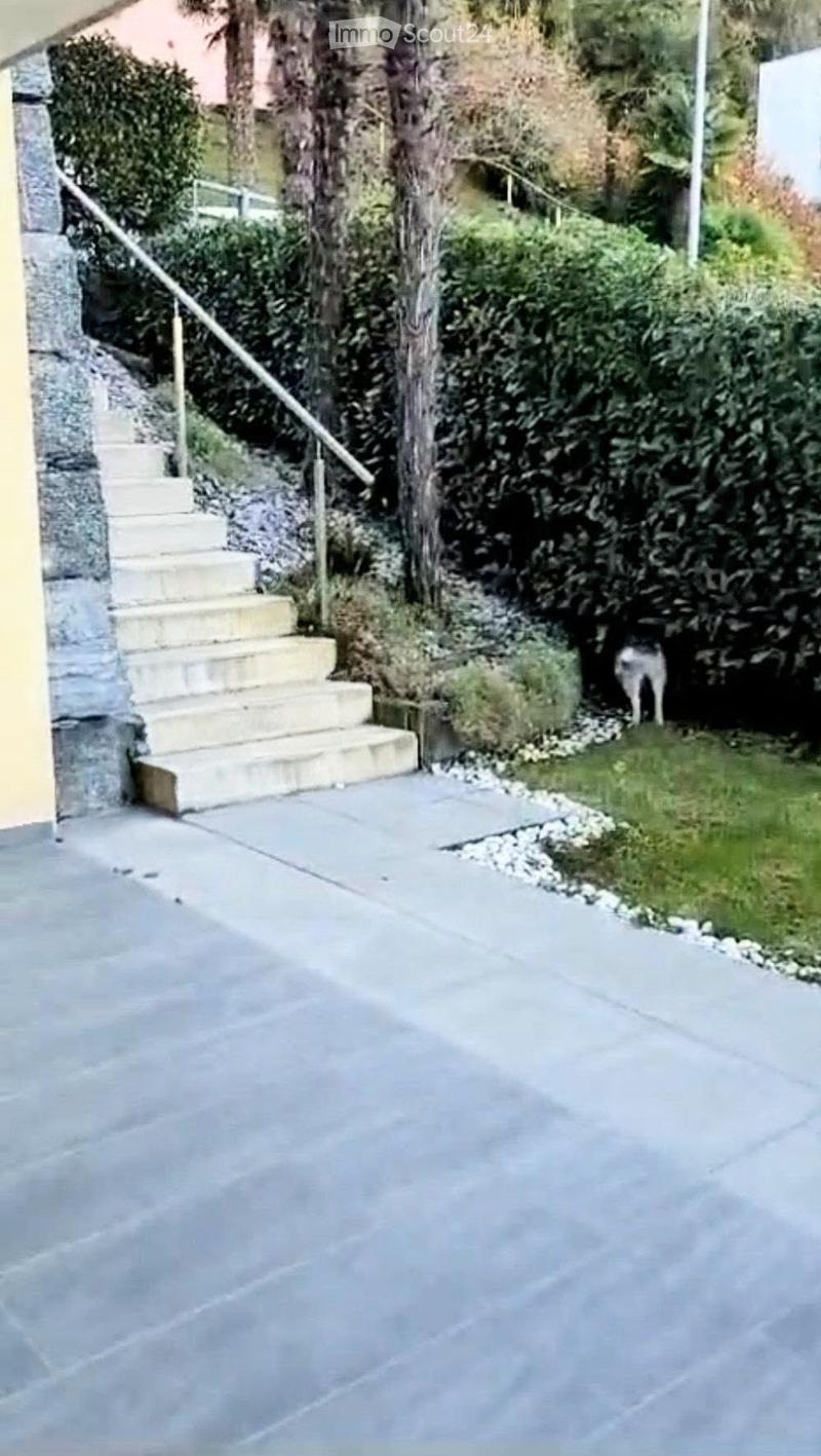 3.5 locali con giardino privato e posteggio (2)