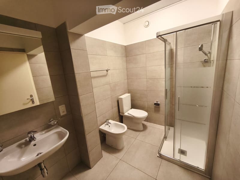 Beautifil and completely new apartment in Chiasso (2)