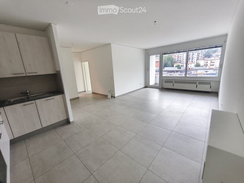 Beautifil and completely new apartment in Chiasso (5)