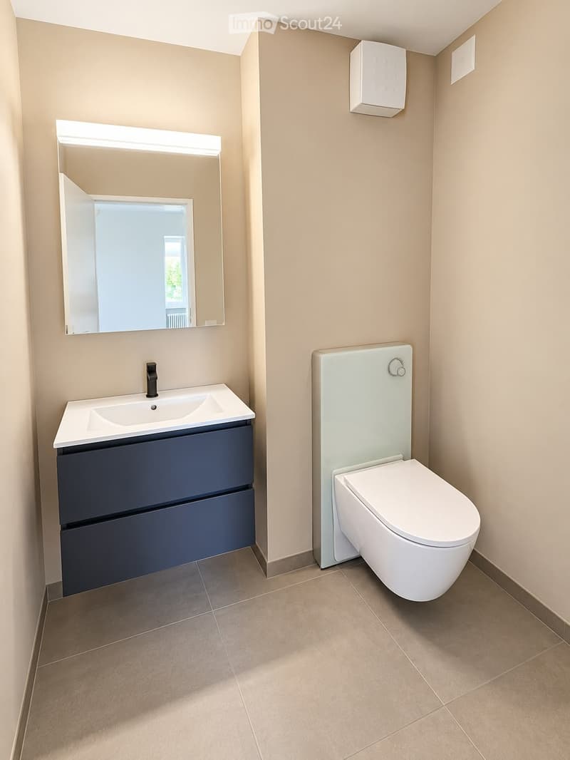 4.5-Zimmer-Wohnung in Brüttisellen - hell, modern & zentral (5)
