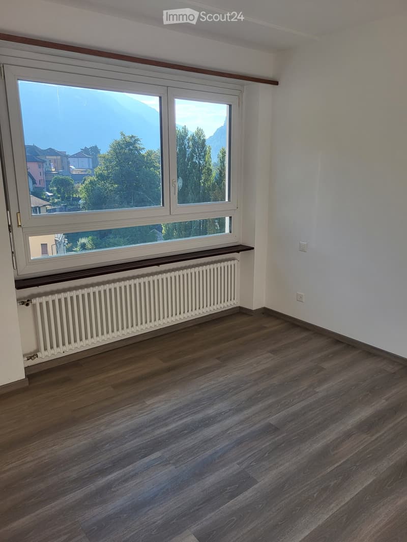Faido affittasi appartamento 2 locali (2)