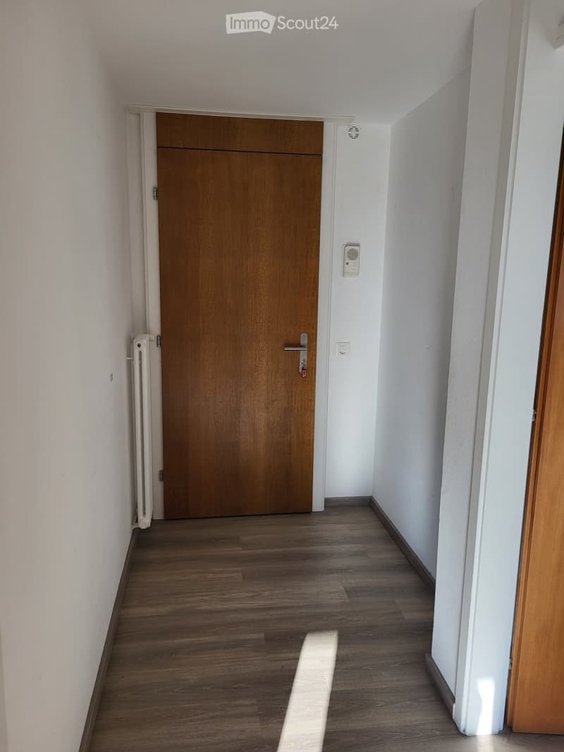 Faido affittasi appartamento 2 locali (5)
