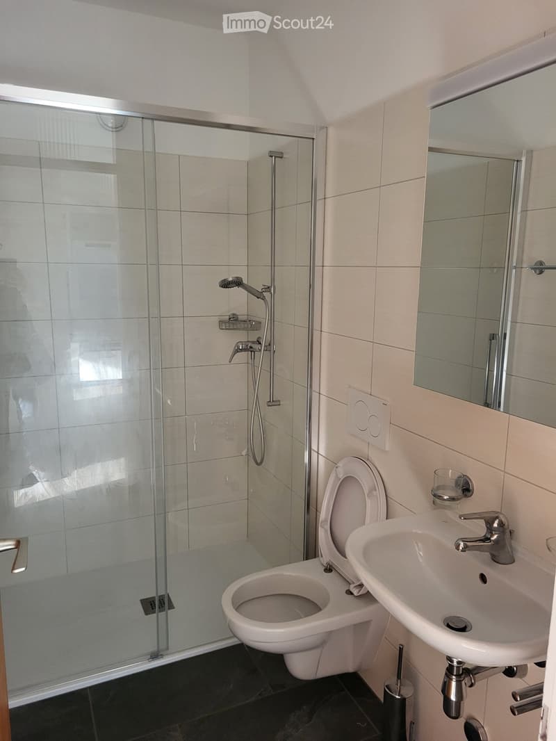 Faido affittasi appartamento 2 locali (4)