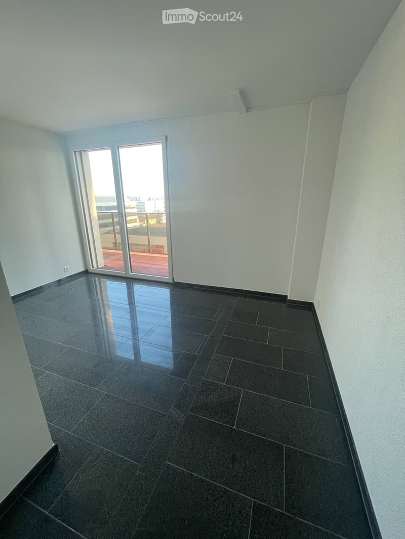 Gross, Luxurious Apartment in Stettbach Dübendorf (4)