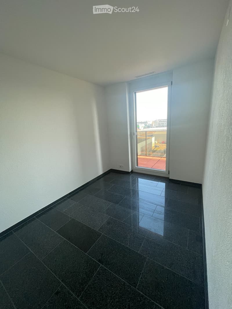 Gross, Luxurious Apartment in Stettbach Dübendorf (5)