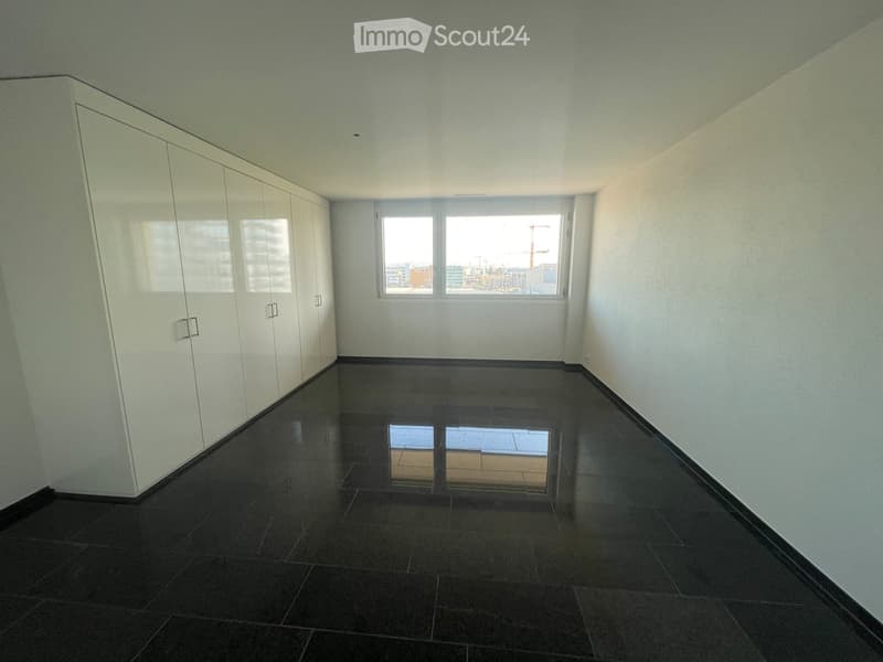 Gross, Luxurious Apartment in Stettbach Dübendorf (3)