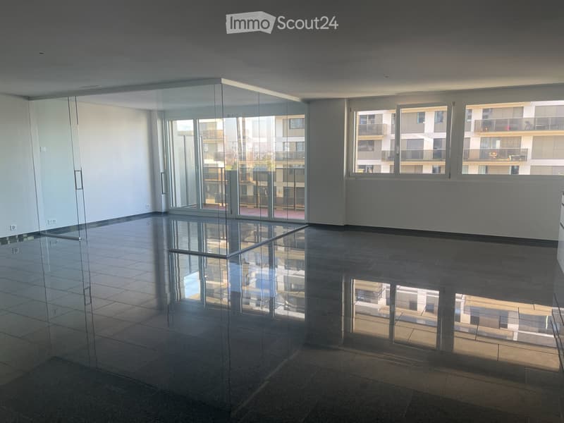 Gross, Luxurious Apartment in Stettbach Dübendorf (1)