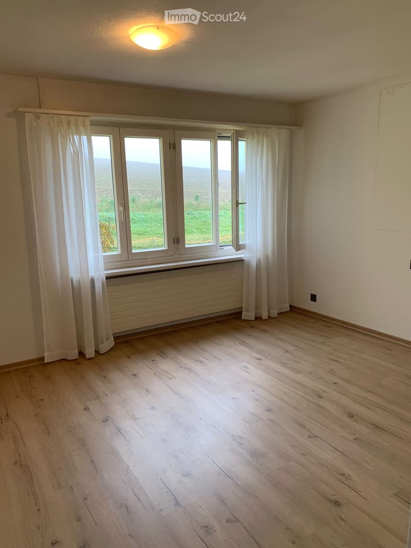 Nachmieter gesucht (5)