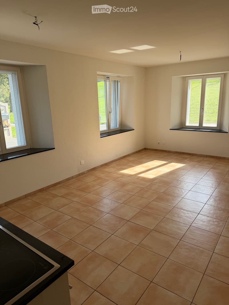 Charmante 2,5 Zimmerwohnung (3)