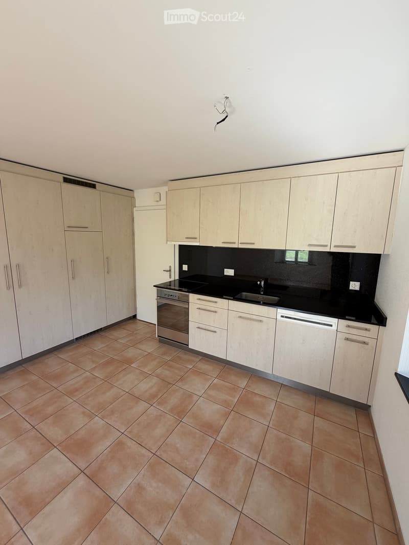 Charmante 2,5 Zimmerwohnung (2)